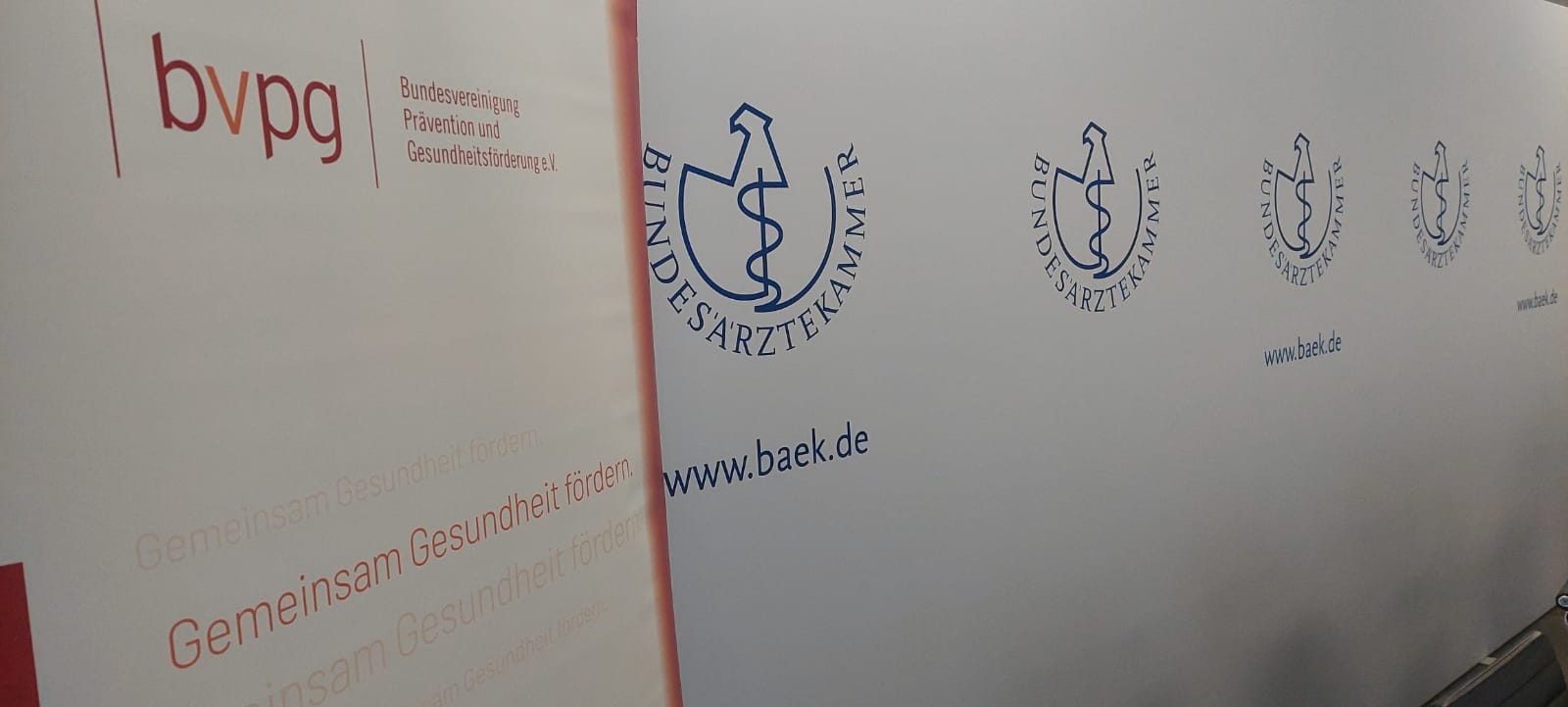 Die BVPG: Ein starkes Netzwerk für Prävention und Gesundheitsförderung